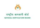 NHB Recruitment 2023 – Young Professional Vacancy