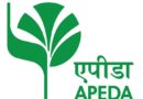 APEDA Recruitment 2023 – Assistant General Manager Vacancy